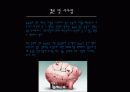 국제경영세미나(완성본) 16페이지