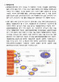 화장품 제조 제출 2페이지