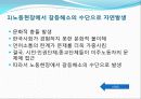 다문화-현장에서의 다문화 교육사례 5페이지