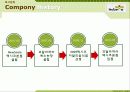 NewSsam쌈밥 레스토랑(Restrent) - 신선한 채소와 장의 만남 9페이지