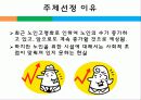 노인과 여가,마케팅,브랜드,브랜드마케팅,기업,서비스마케팅,글로벌,경영,시장,사례,swot,stp,4p 3페이지