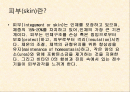 제 25장. 피부 물리치료 - 피부계, 일반적 피부의 장애, 물리치료적 중재, 상처, 상처관리 2페이지