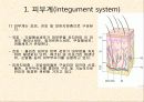 제 25장. 피부 물리치료 - 피부계, 일반적 피부의 장애, 물리치료적 중재, 상처, 상처관리 3페이지