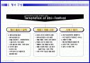 무선네트워크 프로모션기획서 샘플 - SKT 휴대인터넷 & 삼성 UMPC 판매 활성화 프로모션 - 행사 제안서 14페이지