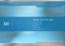 시장의 성공적인 입지 구축을 위한 브랜드 전략 계획서 Total Entertainment K-Corporation  10페이지