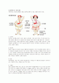 [분석/조사] 비만  11페이지
