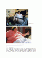 [분석/조사] 비만  18페이지