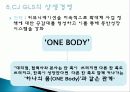 CJ GLS의 역사, 연혁, 물류사업, 택배사업, 상생경영, 녹색물류, 대한통운 인수, 광고 마케팅, 유통물류 장점, 경쟁력, 기업 소개, 특징, 경영 전략, 시사점, 총체적 조사분석 12페이지