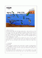 우리나라 수산업 현황과 문제점, 그 후 발전가망(대책) 4페이지