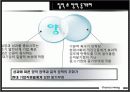 삼성전자와 미라이 공업 비교 분석자료 16페이지