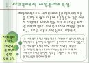 [사회복지행정론] 사회복지조직의 재정관리 5페이지