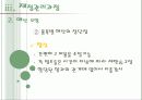 [사회복지행정론] 사회복지조직의 재정관리 19페이지