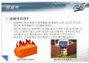 보안시스템 - 개발 배경과 실제(인식기술, 방화벽) 20페이지