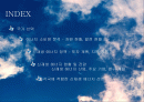 신 재생 에너지 동유럽 프로젝트 2페이지
