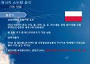 신 재생 에너지 동유럽 프로젝트 6페이지