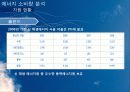 신 재생 에너지 동유럽 프로젝트 7페이지