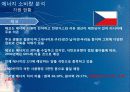 신 재생 에너지 동유럽 프로젝트 12페이지