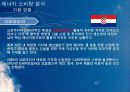 신 재생 에너지 동유럽 프로젝트 13페이지