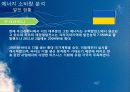 신 재생 에너지 동유럽 프로젝트 16페이지