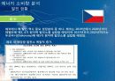 신 재생 에너지 동유럽 프로젝트 19페이지