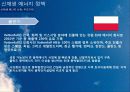 신 재생 에너지 동유럽 프로젝트 35페이지