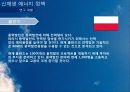 신 재생 에너지 동유럽 프로젝트 40페이지