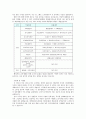 행정학 노무현정부와 이명박정부의 비교 4페이지