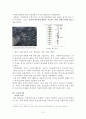 삼국, 고려시대의 문자(文字)와 문고(文庫) 4페이지