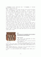 삼국, 고려시대의 문자(文字)와 문고(文庫) 17페이지