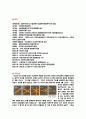 [사회과학] 국민은행  5페이지