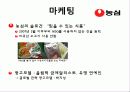 라이벌 기업의 분석_농심 VS 삼양 19페이지