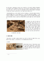 답사 - 경주 쪽샘지구 + 대릉원 천마총 5페이지