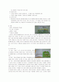 그림책을 선정하여 관련 정보(책제목, 지은이, 출판사 간략한 줄거리등)와 발달 단계에 도움이 되는것을 제시, 그림책이 내포하고 있는 문학적, 미술적, 교육적 요소를 분석 - 검피아저씨의 뱃놀이 _ 존 버닝햄 저 2페이지