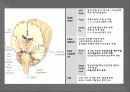신경계검사 (Neurological examination) 5페이지