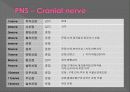 신경계검사 (Neurological examination) 8페이지