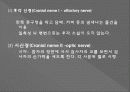 신경계검사 (Neurological examination) 18페이지