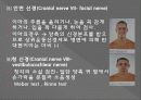 신경계검사 (Neurological examination) 22페이지
