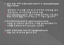 신경계검사 (Neurological examination) 23페이지