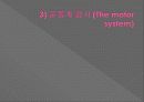 신경계검사 (Neurological examination) 24페이지