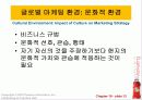 제19장_글로벌_마케팅 12페이지
