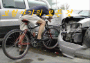 보험사기 1페이지