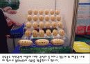 중소기업 히트제품 박람회 (장소 : 서울 삼성동 COEX) 2페이지