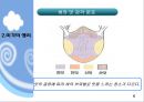 맛의 과학 6페이지