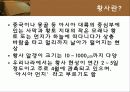황사 5페이지