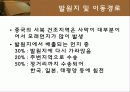 황사 8페이지