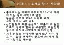 황사 18페이지