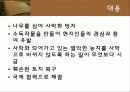 황사 19페이지