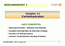 Carbohydrates 1페이지
