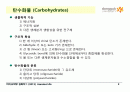 Carbohydrates 2페이지
