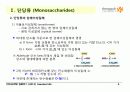Carbohydrates 4페이지